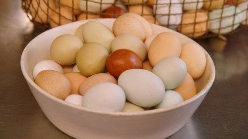 Martha Cooks Season 1 Episode 3 - How to Properly Cook an Egg