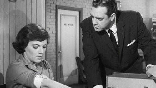Perry Mason Season 2 Episode 14 - The Case of the Glittering Goldfish