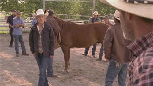 Heartland Season 4 Episode 8 - One Day
