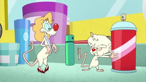 Animaniacs Season 2 Episode 17 - Mouse Congeniality