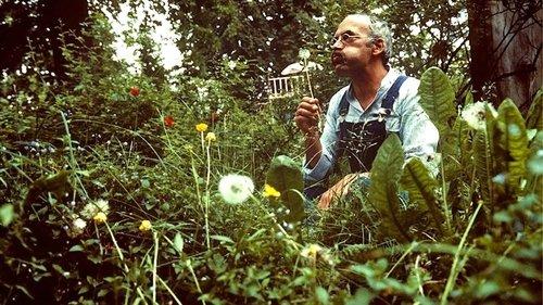 Löwenzahn Season 1 Episode 2 - Episode 2