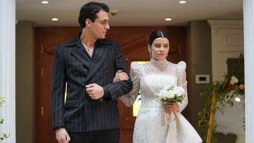 Street Birds Season 2 Episode 1 - Episode 22