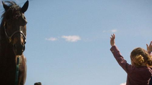 Heartland Season 16 Episode 1 - Something's Got to Give