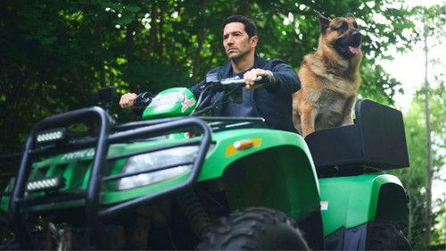 Hudson & Rex Season 8 Episode 5 - Fortitude Newfoundland