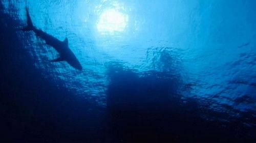 Deadliest Catch: Bloodline Season 2 Episode 7 - A Bigger Boat