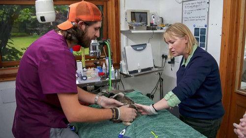 Joanna Page's Wild Life Season 1 Episode 2 - Episode 2