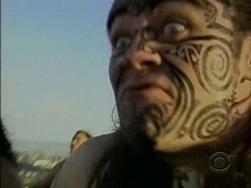 The Amazing Race Season 13 Episode 1 - Bees are Much Calmer than All This!