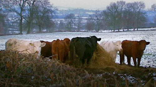 King Alfred and the Anglo Saxons Season 1 Episode 2 - The Lady of the Mercians