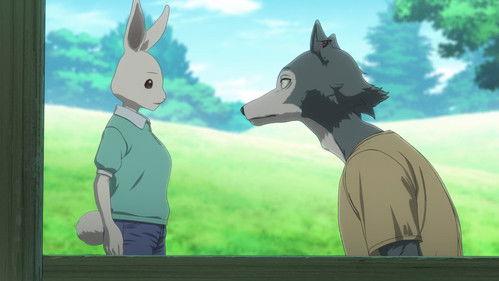 BEASTARS Season 3 Episode 20 - Gotta Buy a Step Stool