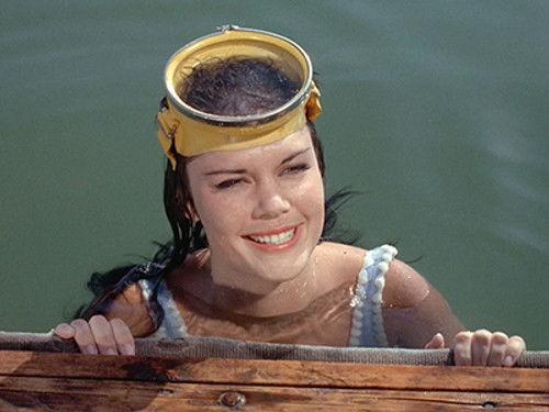 Flipper Season 1 Episode 30 - Flipper's Monster