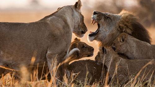 Savage Kingdom Season 2 Episode 4 - King Slayers