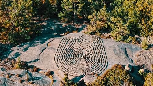 What on Earth? Season 10 Episode 5 - Code of the Viking Witch