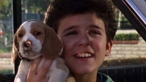 The Wonder Years Season 3 Episode 12 - The Powers That Be