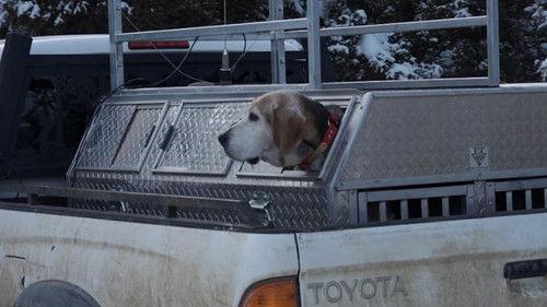 Mountain Men Season 9 Episode 9 - Bloody Knuckles