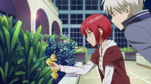 Snow White with the Red Hair Season 1 Episode 4 - From the Small Hand, a Burgeoning Concerto Resonates