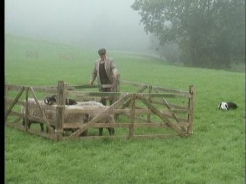 All Creatures Great and Small Season 4 Episode 6 - Only One Woof