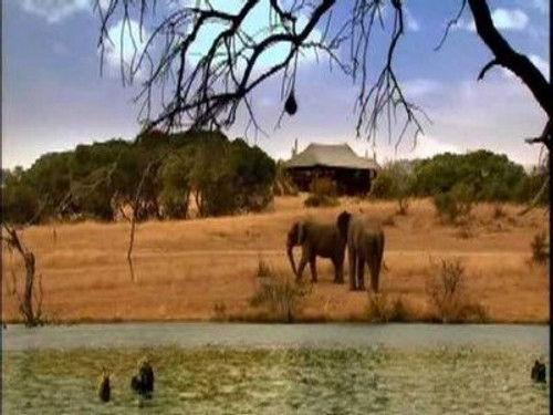 Wild at Heart Season 2 Episode 2 - Episode Two