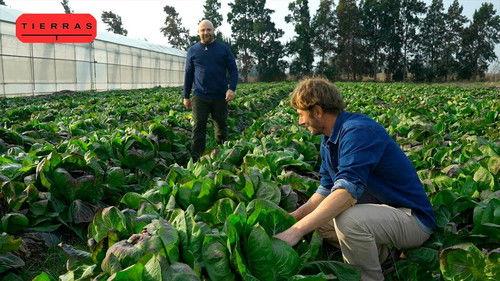 Proyecto Tierras Season 4 Episode 8 - Episode 8