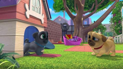 Puppy Dog Pals Season 1 Episode 6 - Pot O' Pugs