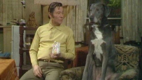 On the Buses Season 3 Episode 13 - On the Make