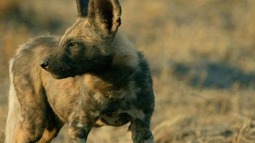 Savage Kingdom Season 4 Episode 5 - Outcasts Rising