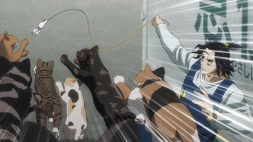 undefined Season 1 Episode 2 - Tonight the Cats Steal the Stars