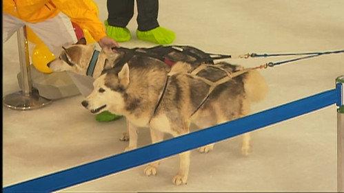 Infinite Challenge Season 1 Episode 20 - Drag the Sled Challenge
