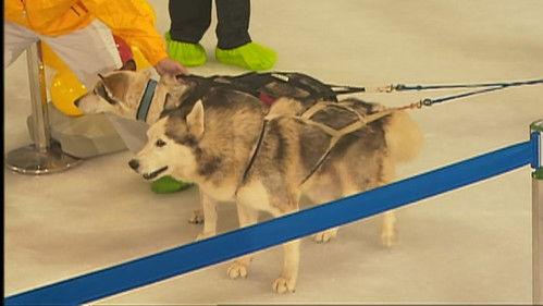 Infinite Challenge Season 1 Episode 20 - Drag the Sled Challenge