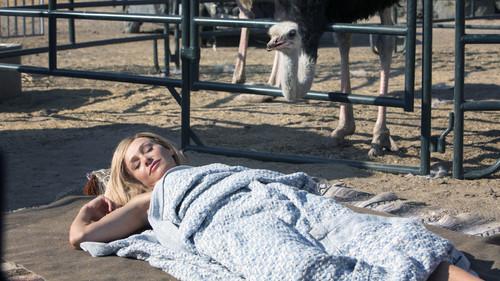 undefined Season 4 Episode 3 - Indian Takers