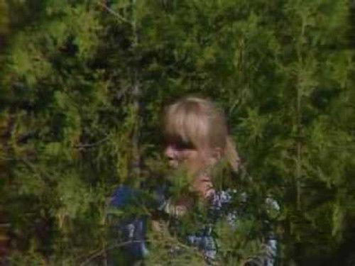 The Littlest Hobo Season 5 Episode 17 - Applejack