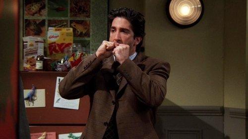 Friends Season 5 Episode 9 - The One with Ross's Sandwich