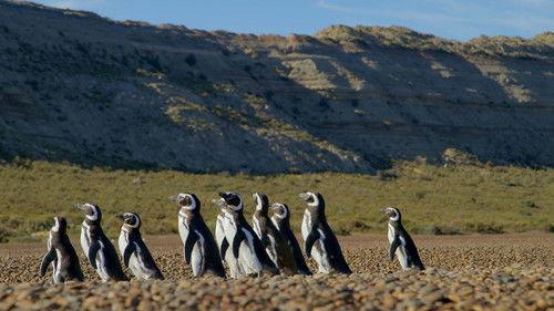 Patagonia: Life on the Edge of the World Season 1 Episode 1 - The Desert Coast