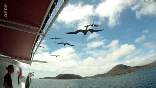 Laissez-moi dormir Season 1 Episode 4 - Episode 4