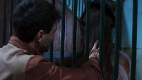 One Step from Heaven Season 7 Episode 5 - Episode 5