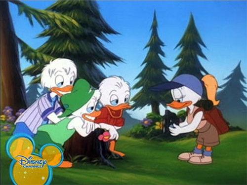 Quack Pack Season 1 Episode 25 - Ducks by Nature