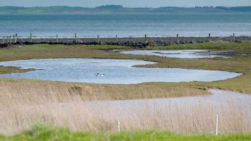 Countryfile Season 35 Episode 17 - County Down Spring