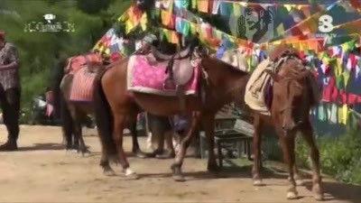 Il Testimone Season 8 Episode 5 - Alla ricerca della felicità (seconda parte)