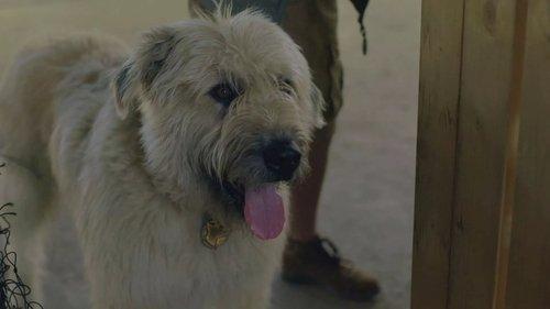 Kosmoo Season 1 Episode 5 - Episode 5