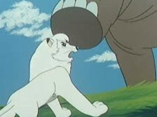 Kimba the White Lion Season 2 Episode 22 - Candle Rock