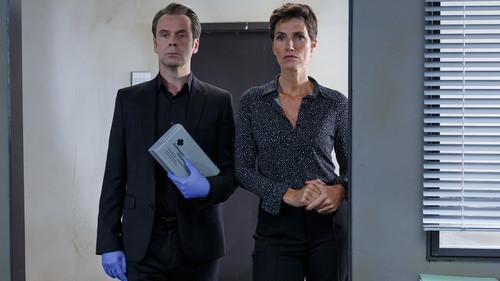 Professor T. Season 3 Episode 2 - Hikikomori