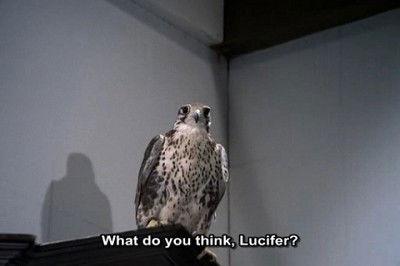 undefined Season 4 Episode 14 - The Falcon (1)