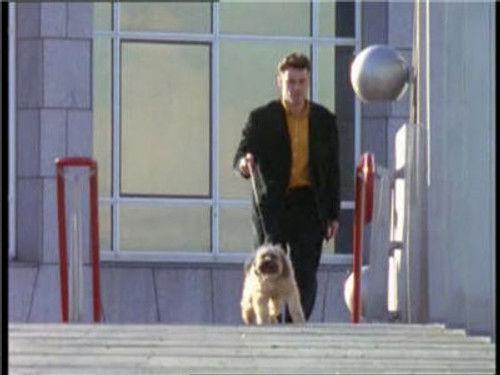 undefined Season 2 Episode 8 - Newton's Run