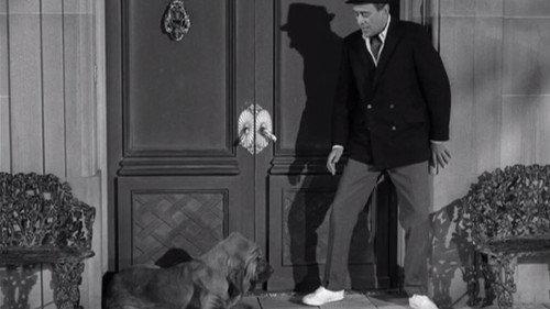 The Beverly Hillbillies Season 3 Episode 20 - Jed's Temptation