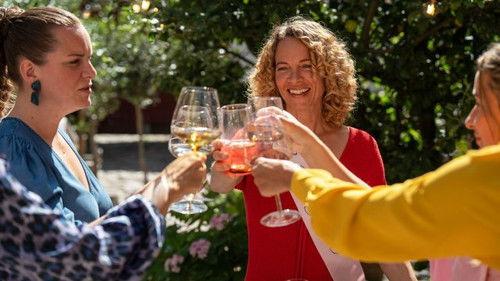 The Sommerdahl Murders Season 6 Episode 6 - Artificial (2)