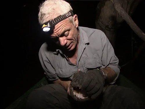 River Monsters Season 3 Episode 7 - Jungle Killer