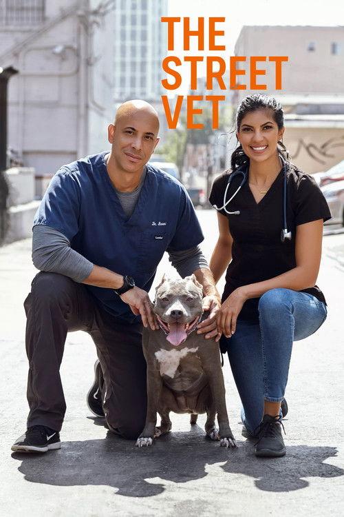 The Street Vet poster
