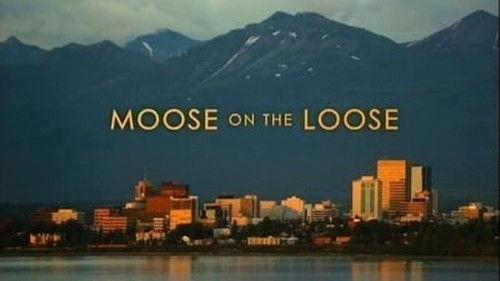 Natural World Season 25 Episode 15 - Moose on the Loose