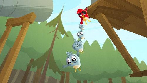 Angry Birds: Summer Madness Season 1 Episode 15 - Stopped Short