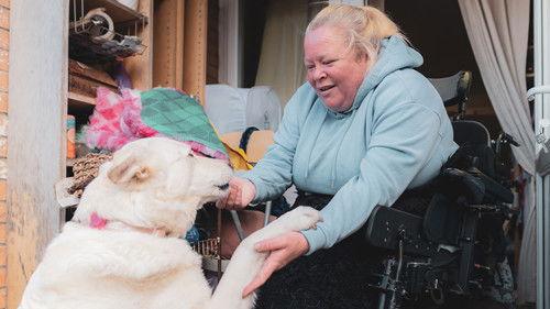 Panorama Season 68 Episode 13 - Coronavirus: The Most at Risk