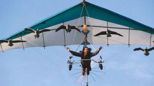 Nature Season 32 Episode 6 - Earthflight: Flying High